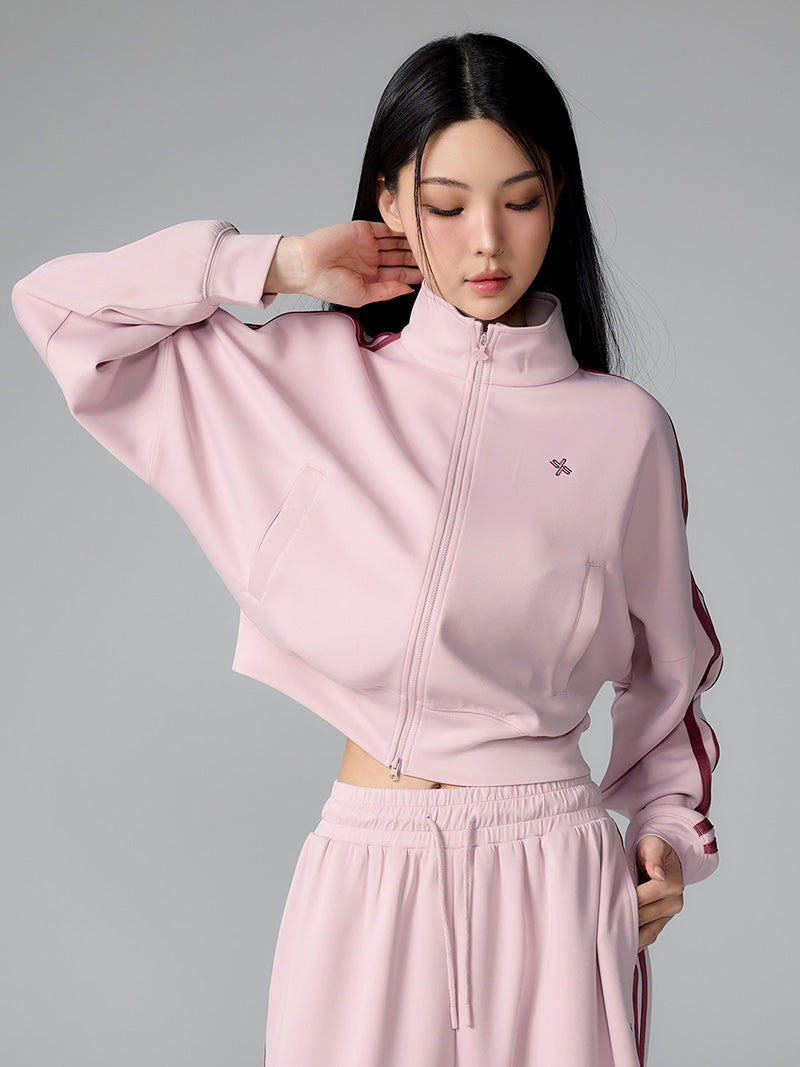 #色_ピンク・スワン